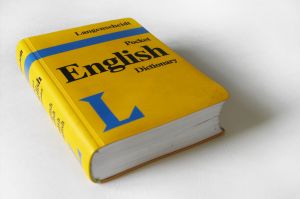 Vi or Vim Thesaurus