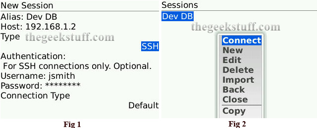 Create SSH Session and Connect from BlackBerry Curve Create SSH Session and Connect from BlackBerry Curve
