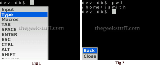 Telnet/SSH Client Type Command on BlackBerry Strom Telnet/SSH Client Type Command on BlackBerry Strom