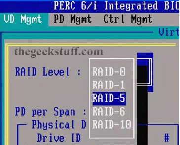Select RAID Level for Dell PowerEdge T100 Server