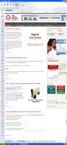 TGS website - Opera 7.54 Browser - Windows XP OS