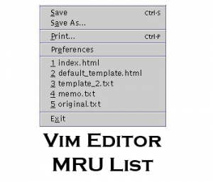 Vi and Vim Editor MRU List for Unix and Linux