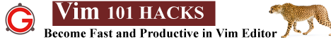 Vim 101 Hacks Book